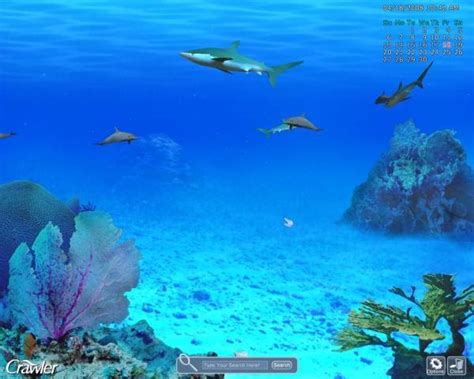 Ctrl C Marine Aquarium 3 Sharks Screensavers