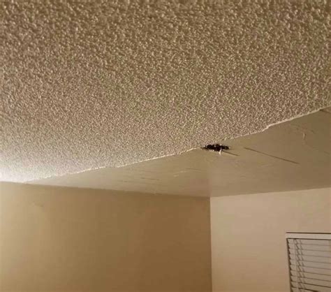 Say goodbye to that outdated eyesore and learn how to remove popcorn ceilings in 5 simple steps. Textured Popcorn Ceiling Removal and Smoothing | Gordon ...