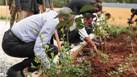 Ethiopia Breaks Tree Planting Record To Tackle Climate Change Bbc News