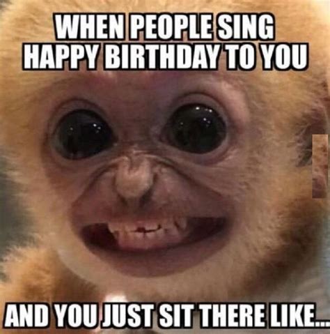 Happy Birthday Memes 50 Funny Meme Birthday Happy Images