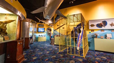 Visita Ripleys Believe It Or Not Museum En Ocean City Tours And Actividades Expediamx