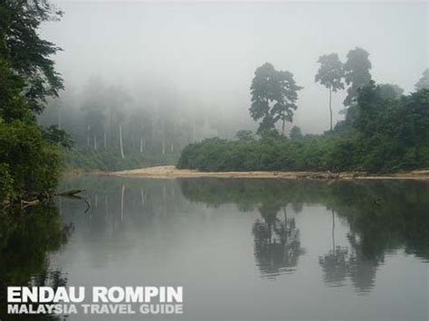 Taman negara endau rompin yang terletak di dua buah negeri. Malaysia Negara Aman: Taman Negara Endau-Rompin
