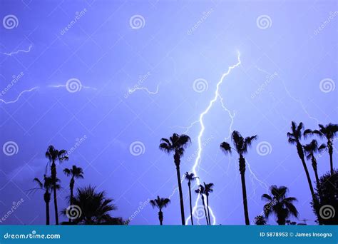 Palms Trees And Lightning Thunder Storm Stock Image Image Of Scenic