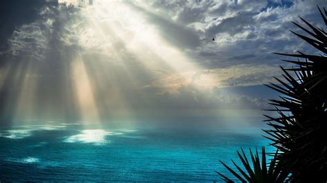 Sunrays On Sea 4k Ultra Hd Wallpaper Background Image 3840x2160