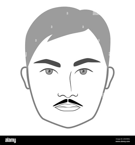 Zorro Mustache Beard Style Men Face Illustration Facial Hair Vector Grey Black Portrait Male