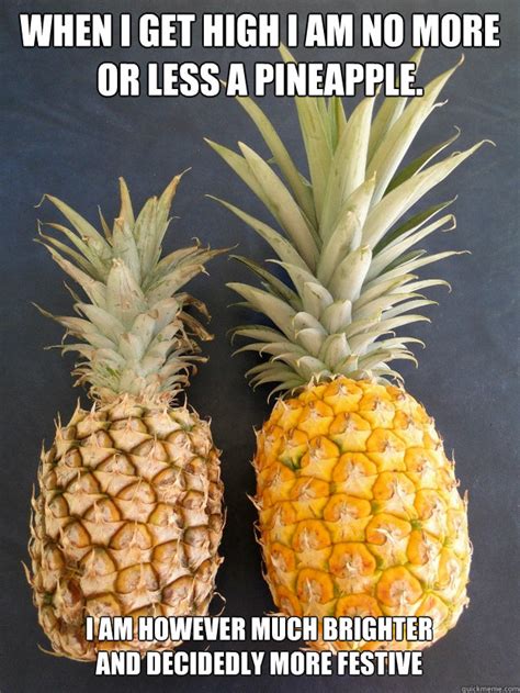 When I Get High I Am No More Or Less A Pineapple I Am However Much