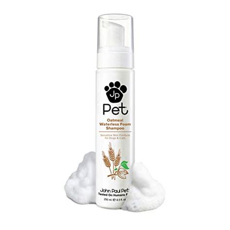 10 Best Dandruff Shampoos For Dogs Askdeb