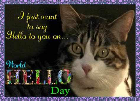 Cat Says Hello On World Hello Day Free World Hello Day Ecards 123