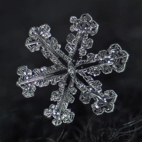 How To Photograph Snowflakes And Blow Your Mind — Craig Goodwin