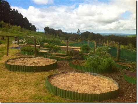 A North Island New Zealand Permaculture Tour