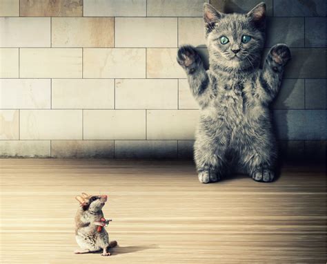 Humor Cat Artwork Mice Wallpapers Hd Desktop And
