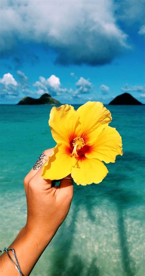 Summer aesthetic desktop wallpapers and background images for all your devices. Summer Aesthetic Wallpapers - Top Free Summer Aesthetic ...