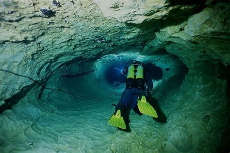 Cave Diving Cave Diving Cozumel Scuba Diving Diving