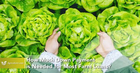 How Much Down Payment Is Needed For Most Farm Loans