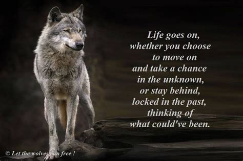 Wolves Quotes What Are Some Quotes And Poems About Wolves Quora