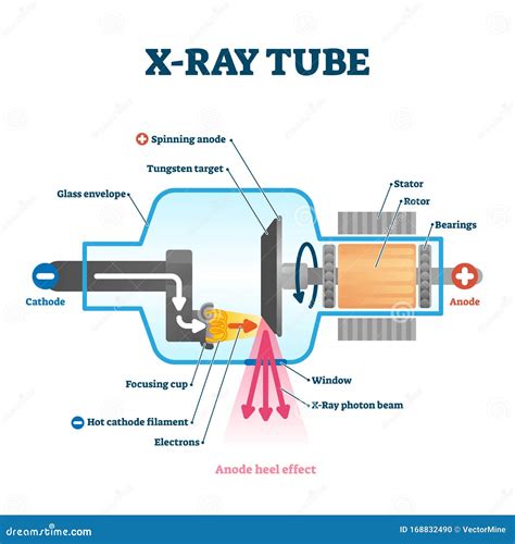 X Ray Tube Vector Illustration Radiology Scan Equipment Structural