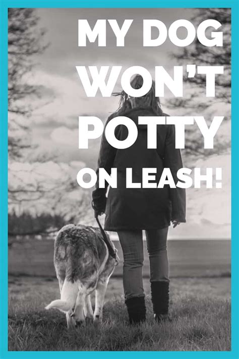 They can feel very strange, and even scary. My Dog Won't Potty on Leash!
