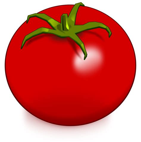 125100 Tomato Illustrations Royalty Free Vector Graphics And Clip