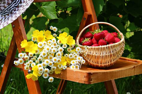 Basket Flowers Table Fruits Spring Strawberries Garden Food