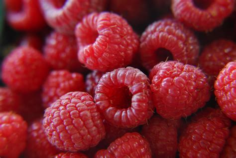 Filefresh Raspberries 272567650 Wikimedia Commons