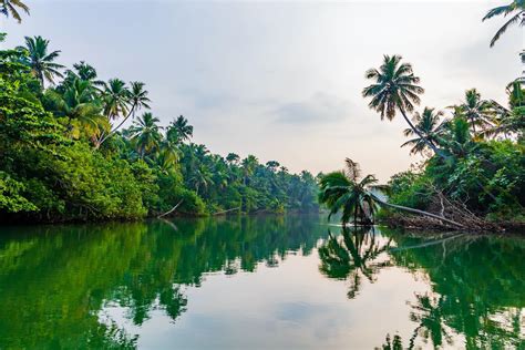 87 Most Beautiful Images In Kerala Backwaters India