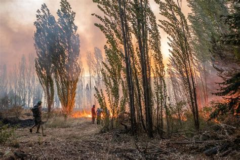 Reporte Oficial Por Los Incendios En Argentina Los Focos Del Sur