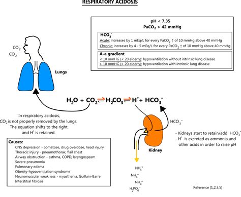 Respiratory Acidosis Illustration