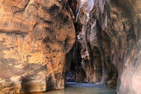 The Narrows Picture Of The Narrows Zion National Park Tripadvisor