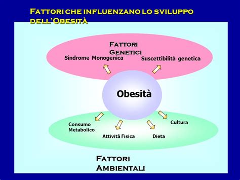 Obesità Fattori Genetici Ereditari Io Benessere Blog