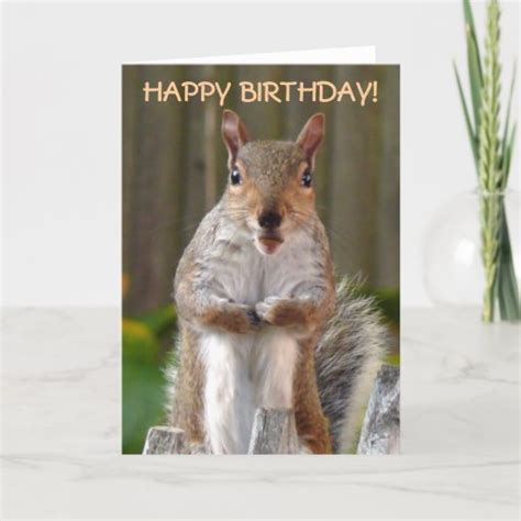 Cute Squirrel Happy Birthday Card Zazzle