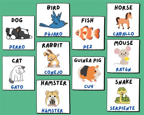 50 Nombres De Animales En Inglés Su Pronunciación