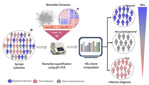 New Blood Based Biomarker To Distinguish Between Bacterial And Viral