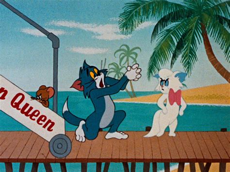 Tom And Jerry Female Cat Cartoon