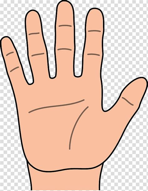 Thumb Finger Hand Cartoon Character Animation Palmistry Japanese