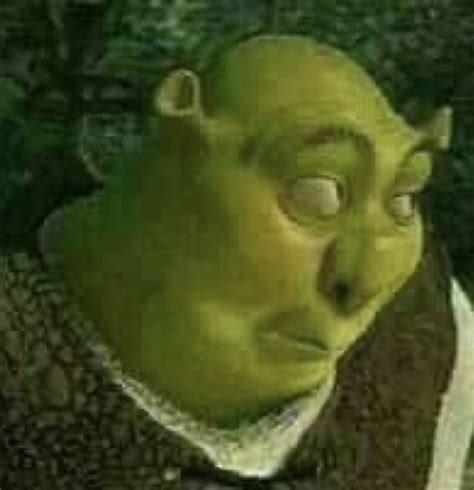 Sherk Uwu Cute Memes Funny Reaction Pictures Reaction Pictures