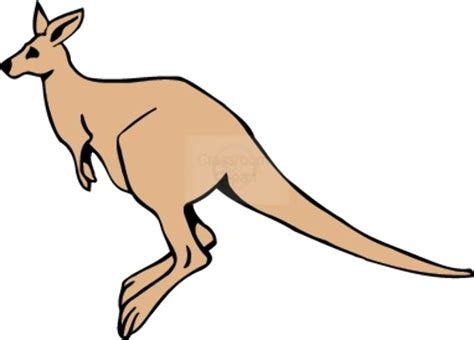 Download High Quality Kangaroo Clipart Running Transparent Png Images