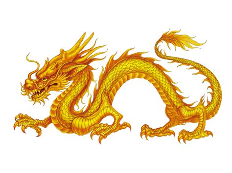 Free Chinese Dragon Clipart Download Free Chinese Dragon Clipart Png