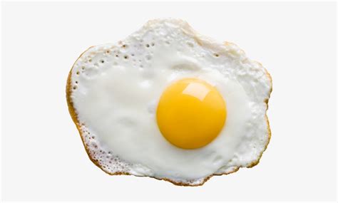 Brown egg transparent background png resolution: Fried Egg Transparent Background Transparent PNG - 502x414 ...