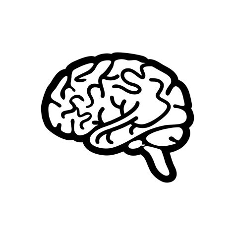 Brain Icon Isolated On White Background Brain Icon Vector Similar Design Illustration Brain