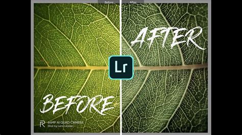 Leave me a review and i'll give you another preset for free. Dark moody green lightroom colour grading tutorial | FREE ...