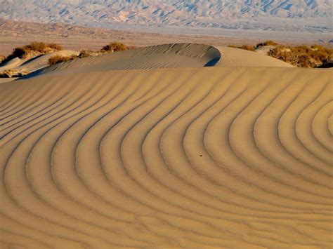 Free Images Landscape Sand Field Desert Dune Wind Dry Park