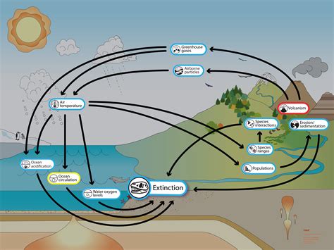 Volcanic Activity And Mass Extinction Understanding Evolution