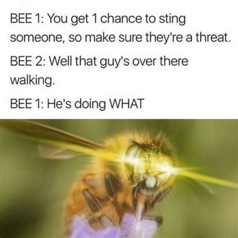 I Love Bees 9gag
