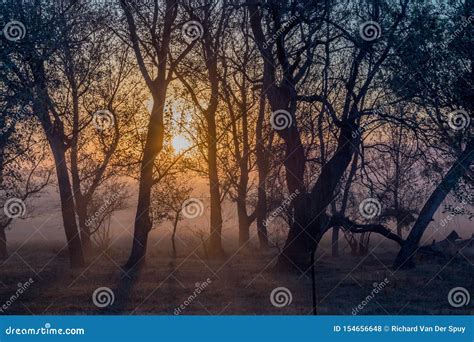 Moody Winter Sunset Landscape With Soft Colors Stock Photo Image Of