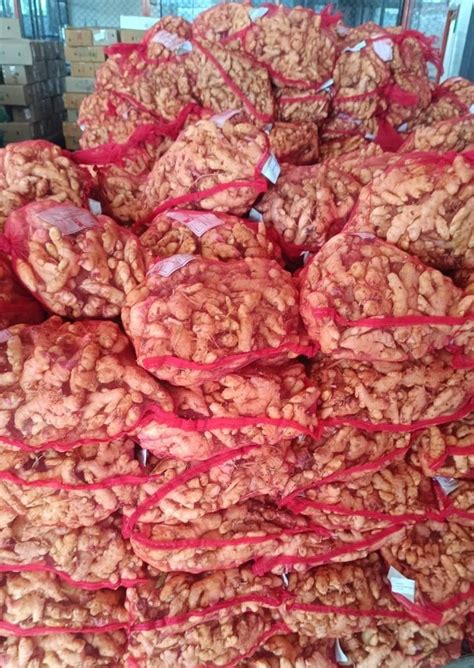 A Grade Karnataka Ginger For Export Mesh Bag Packaging Size Kg At Rs Kg In Puttur