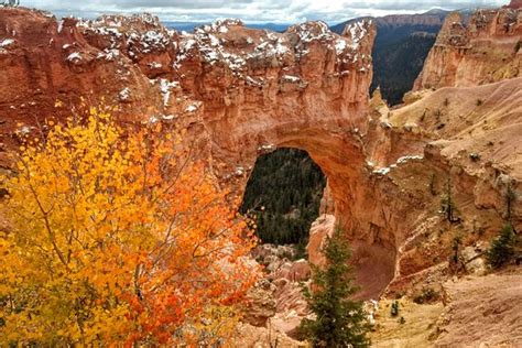 Stunning National Park Bryce Canyon Review Of Bryce Canyon Scenic