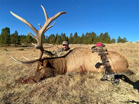 World Class Elk Hunt In Montana