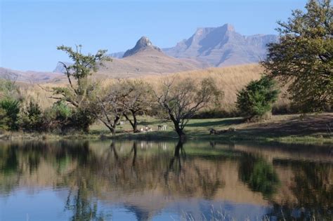 Royal Natal National Park Tranquility And Majesty In The Drakensberg