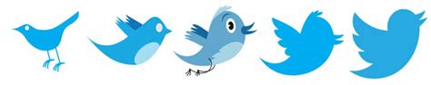 Logo Twitter Evolution