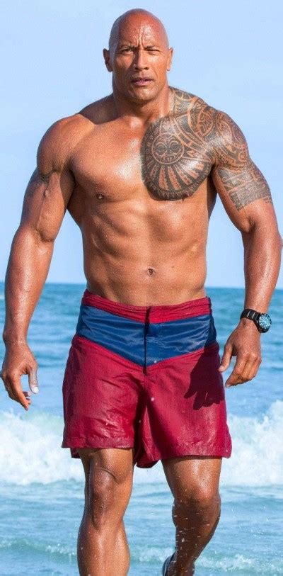 As the rock, he famously feuded with wrestler steve austin and won the wwe heavyweight title numerous times. Dwayne The Rock Johnson: Age, Workout, Family, Pics ...